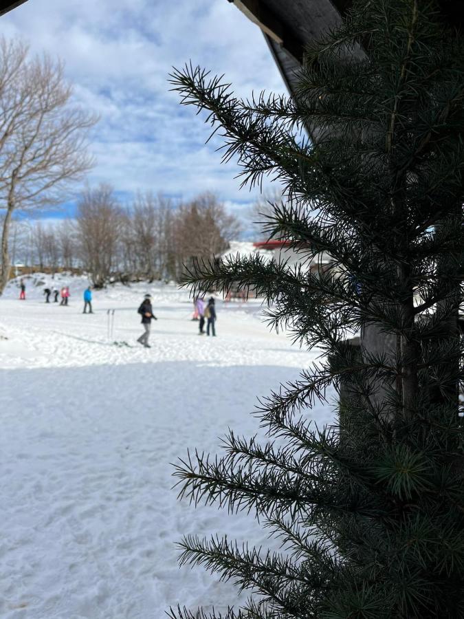 Chalet Burja At Vogel Mountain - Cable Car Access Or Hiking - Not Reachable With Car 博希尼 外观 照片