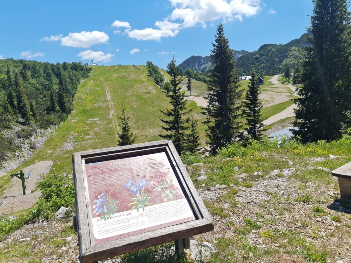 Chalet Burja At Vogel Mountain - Cable Car Access Or Hiking - Not Reachable With Car 博希尼 外观 照片