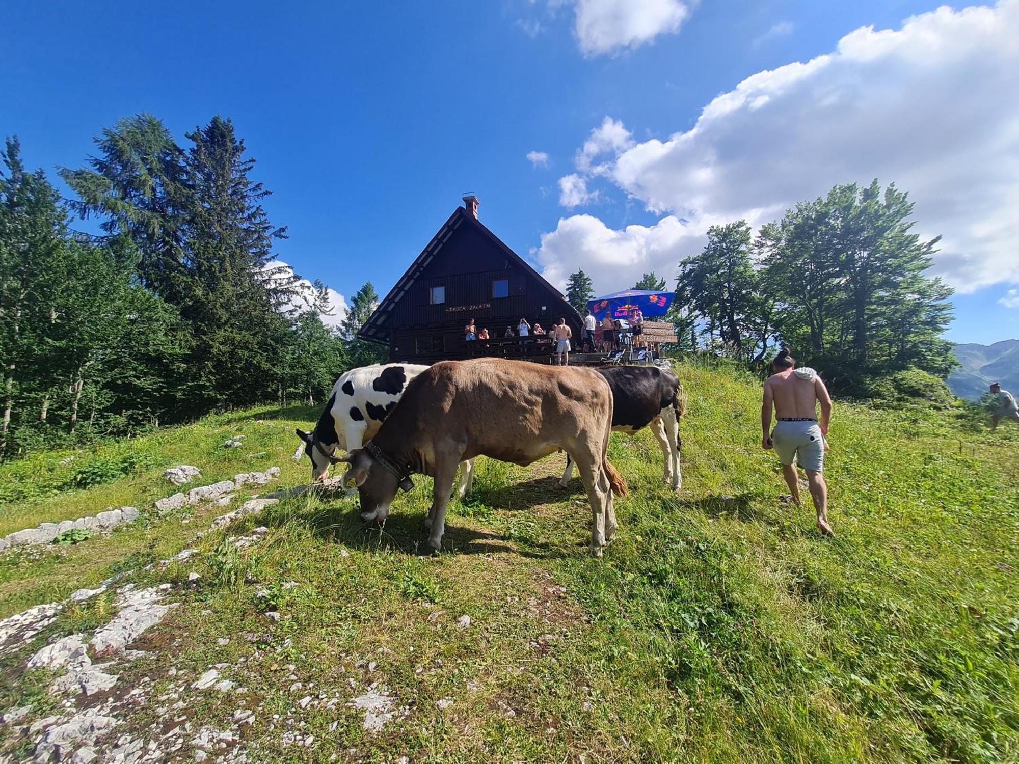 Chalet Burja At Vogel Mountain - Cable Car Access Or Hiking - Not Reachable With Car 博希尼 外观 照片